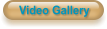 Video Gallery
