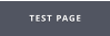 TEST PAGE